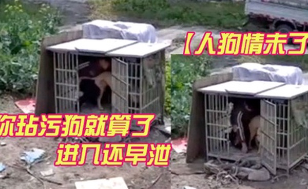 人狗情未了监控视频流出你玷污狗就算了进入还早泄