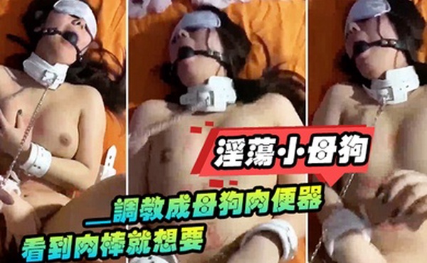 淫荡小母狗_调教成母狗肉便器看到肉棒就想要