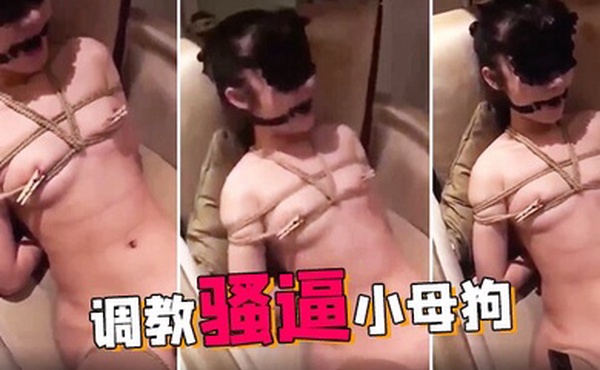 调教骚逼小母狗