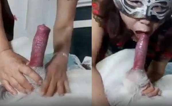 国产人兽老女人是爱狗人士看到大鸡巴受不了