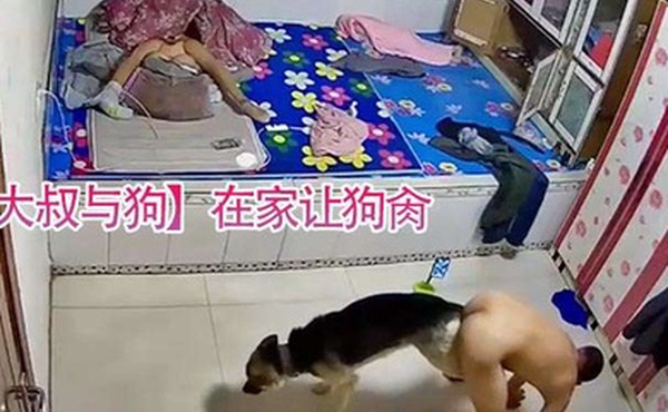 大叔与狗在家让狗肏还被拖着走