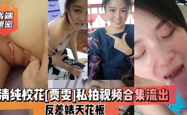 高端泄密清纯校花贾雯私拍视频合集流出反差婊天花板