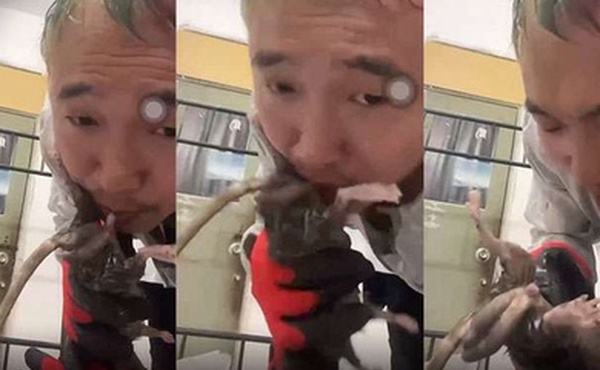 劲爆给老鼠口交什么奇葩性趣