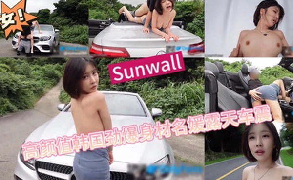 高颜值韩国劲爆身材名媛露天车震