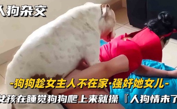 人狗杂交重口味系列女主人趁男友不在家用狗狗进行性爱发泄超刺激