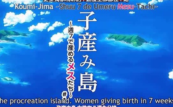 我想看的子岛上