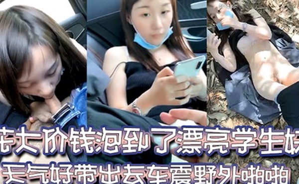 寻女问干花大价钱泡到了漂亮学生妹天气好带出去车震野外啪啪