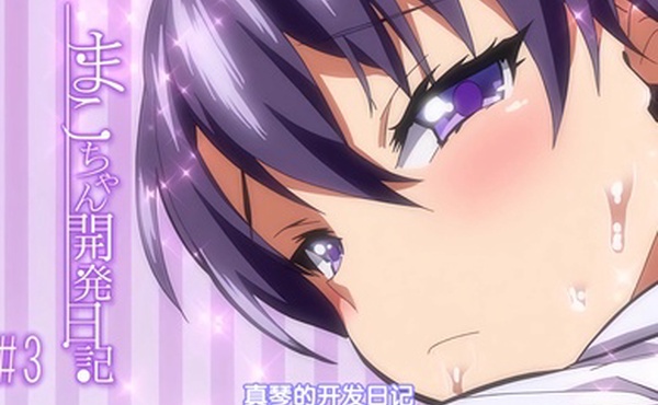 中文字幕真瑟的开发日记第3话