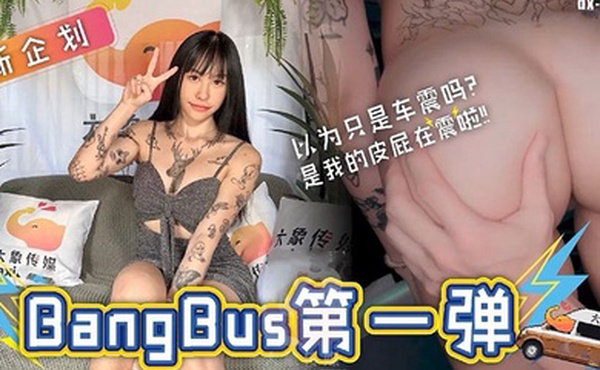 DX004大象号第一弹