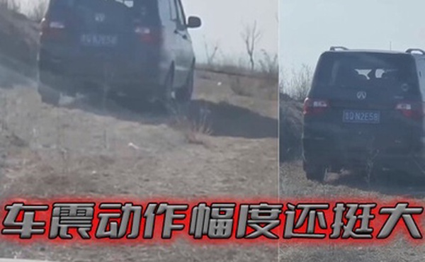 车震动作幅度还挺大