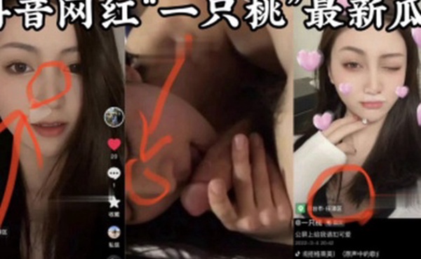网红泄密抖音一只桃不雅视频泄露花式口交