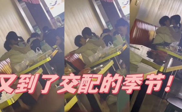 又到了交配的季节