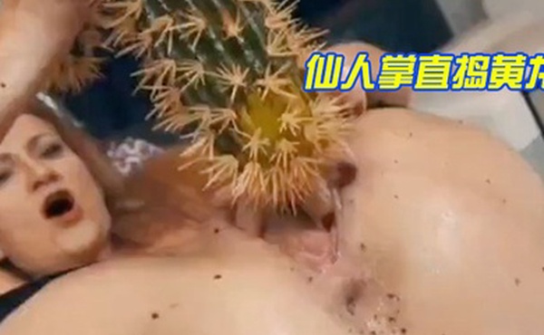 仙.人掌.直捣黄.龙