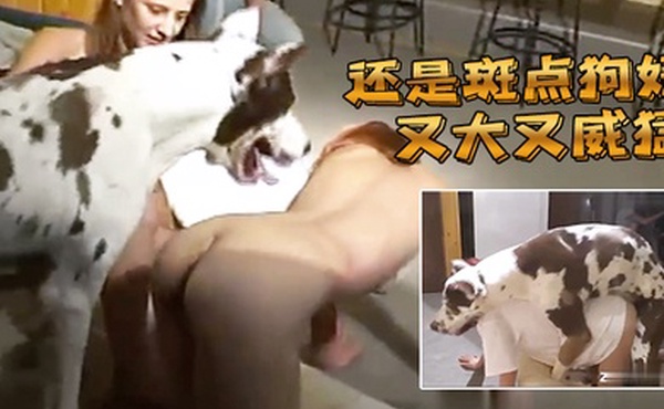 还是斑点狗好又大又威猛后入刚刚好