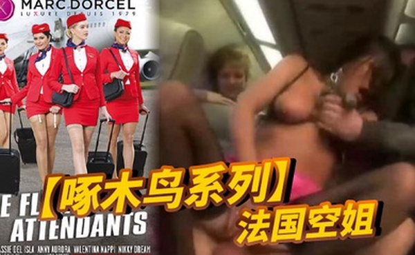 啄木鸟系列法国空姐