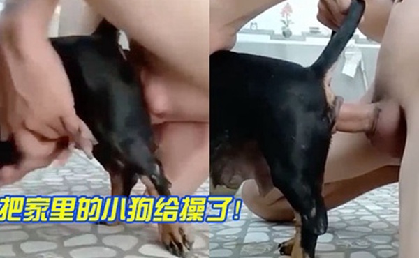 把家里的小狗给操了