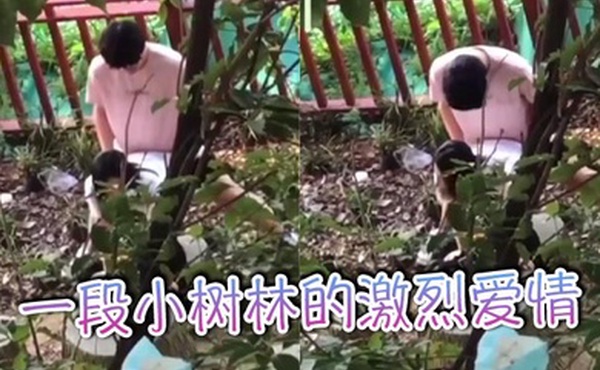 一段小树林的激烈爱情